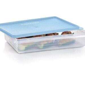 Tupperware Snack-Stor Large - BNIP!